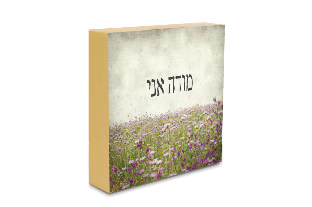 מודה אני
